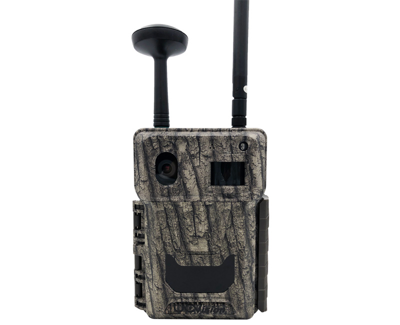 野生動物監測儀在生物多樣性保護的應用