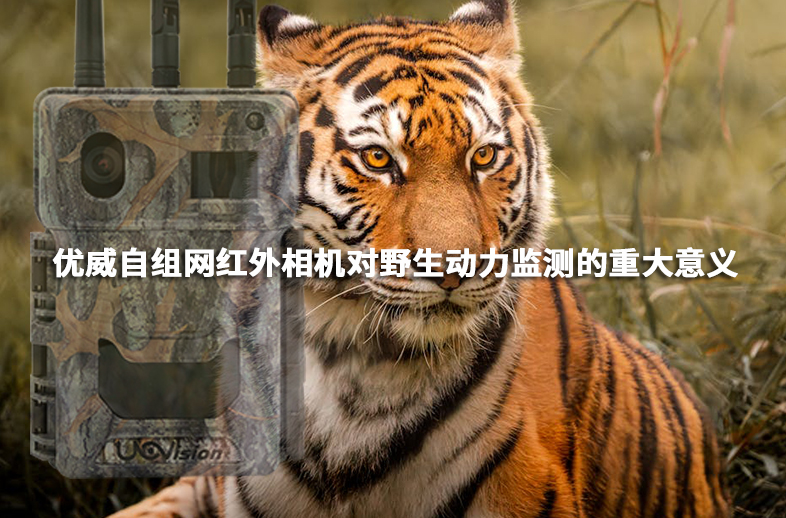 優(yōu)威自組網(wǎng)紅外相機對野生動力監(jiān)測的重大意義