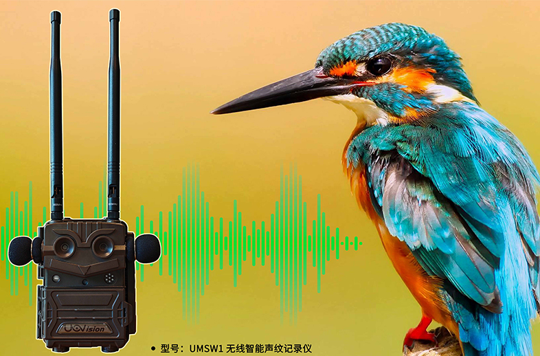 優(yōu)威聲紋記錄儀：AI+聲紋技術(shù)如何重塑野生動物監(jiān)測的邊界？