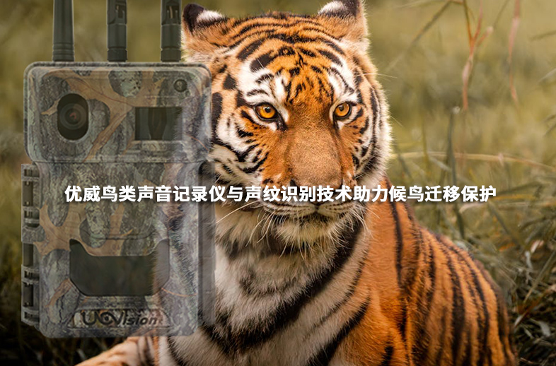 優威鳥類聲音記錄儀與聲紋識別技術助力候鳥遷移保護